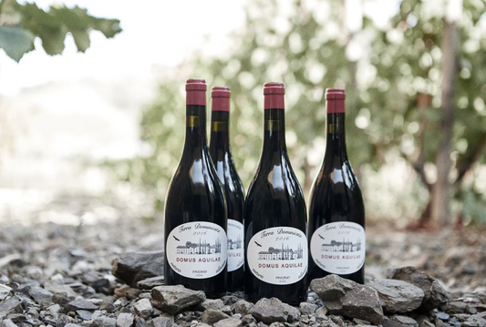 Terra Dominicata Domus Aquilae 2019 (750ml)